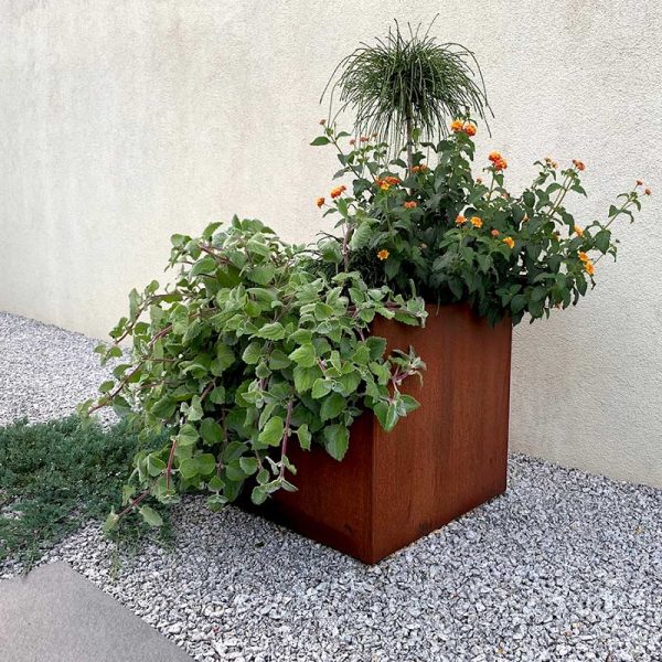 Cubo